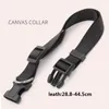 Dog Collars Automatic Leash 5M Durable Nylon Retractable Rope Puppy Walking Free Gift Collar And Ball Toys