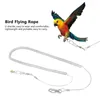 Outros pássaros suprimentos de pássaros 6m Parrot Anti-bite Treinamento de treino de trenô de trenôs para c.ckatiels Macaw Africano Grays Starling Birds
