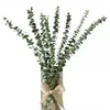 Faux bloemen groen 10 stks natuurlijke eucalyptus takken bladeren gedroogde bloemboeket ornament diy home bruiloft schietpartij prop decoratie 221010