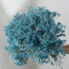 Faux Floral Greenery Natural Dried Flowers Gypsophila Bouqet Eternal Flower Arrangement In Vase Babys Breath Flowers for Decoration DIY Wedding Home 221010