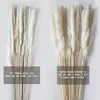 Faux blommor grönare naturliga riktiga pampas gräsbord torkade blommor dekor boho konstgjorda växter mariage hem dekoration bröllop jultillbehör 221010