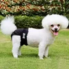 Dog Apparel Diaper Shorts For Large Female Sanitary Pet Big Male Physiological Pants Panties Cat Diapers Underwear Briefs