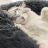 Rund mjuk lång plysch kattbädd kennlar hus självvärmande husdjurs sängar för små medelstora hundar katter bo vinter varm sovande kudde valp matta f1013