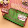 Autres fournitures d'oiseaux 5 pièces / ensemble perroquet hamster tasse d'alimentation à fond plat suspendu outils de bol de nourriture potable