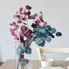 Faux Floral Greenery 80glot Natural Preserved Eucalyptus Leaves Bouquet Eternal Dried Flower for Wedding Home Decoration accessories Display Flower 221010