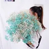 Faux Floral Greenery Flor Seca Natural Real Preservada Eternal Flowers Gypsophila Flower Wedding Party Bouquet Home Decor Babysbreath Flowerknows 221010