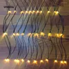 Strings 2 2m waterdichte verlichtingsnet LED -snaarlampen constant heldere chrismas dag boom decoratieve hangende cd50 w05