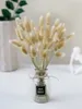 Faux blommig gr￶nare 4055 cm torkad vassblomma arrangemang naturliga pampas gr￤sfragmit communis v￤xter bukett f￶r modern hemdekoration ceremon 221010