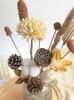 Faux Floral Greenery Eternal Flower Pine Cone Dry Flower Bouquet Living Room Decoration Cotton Real Flower Home Furnishings 221010