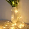 Dizeler Noel LED String Lights Pearl Boncuklar Peri Çelenk 10m 100 Noel Ağacı Pil İşletme Tatil