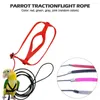 その他の鳥の供給パロットハーネスリーシュ屋外飛行トラクションストラップバンド調整可能な鳥のためのトレーニングロープ