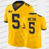 Personnalisé Iowa Hawkeyes College Football Jersey 46 George Kittle 14 Desmond King Caleb Shudak 15 Tyler Goodson 7 Spencer Petras Noir Blanc Hommes Femmes Enfants Maillots 150e