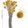 Faux Floral Greenery 40ps Натуральные сухофьмоты цветы Craspedia billy Balls Цветы Billy Blotons Floral Bouquet для свадебных композиций Home Vase Decor 221010