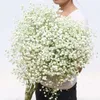 Faux Floral Greenery 80glot Белая гипсофила высушенная цветочная букет цветы настоящие цветочные дома, украшение гостиной 221010