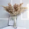 Faux Floral Greenery Dried Pampas Grass Decor Wedding Flower Bunch Natural Plants for Home Christmas Decorations Gift Dry Flower 221010
