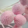 Faux Floral Greenery 20pcs Craspedia Billy Button Ball