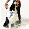 Dog Collars Automatic Leash 5M Durable Nylon Retractable Rope Puppy Walking Free Gift Collar And Ball Toys