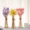 Decoratieve bloemen 30pcslot staart gras paasdecoraties echte bloem bruiloft thuis decor Bunch kleurrijke gedroogde boeketpampas