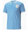 2024 Uruguay Soccer Jerseys Camiseta Uruguaya D.Nunez E.Cavani L.Suarez Football Shirts Kids Kit G.De Arrascaeta F.Valverde R.Araujo Uniform