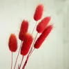 Dekoracyjne kwiaty wieńce naturalna trawa ogonowa 50pcs/działka sucha foxtail naprawdę bukiet pasterski styl strzelania hurtowo