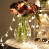 Party Decoration 1.5M 3M 6M 10M Cherry Balls LED Fairy String Lights Battery Operated Wedding Christmas Outdoor Room Garland
