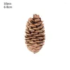 Decoratieve bloemen 1-10 stks Natuurlijke gedroogde planten Pine Cone Acorn kunstmatige bloem voor doe-het-zelf Christmasscrapbooking Garland krans bruiloft