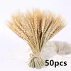 Decorative Flowers Natural Dried Preserved Vase Eucalyptus Palm Leaf Reed Lavender -tail Grass Bouquet DIY Wedding