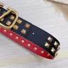 Ceinture pour hommes ceintures pour hommes 40 mm de la marque Valen Réplique officielle de diamant V Boucille en acier en forme