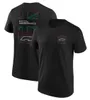 T-Shirt F1 pour hommes, T-Shirt de formule 1, Logo de l'équipe de course, été, sport, respirant, manches courtes, haut à séchage rapide