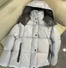 冬のダウンジャケットレディースファッションパフコートクラシックフード付きパーカーコート22FW温かい太いパフジャケットの女性スタイリッシュなアウター