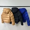 Doudoune d'hiver pour homme pour parkas très chaudes Vêtements d'alpinisme coupe-vent et imperméables