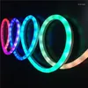 Strips LED Neon Pixel Strip Dream Color WS2811 60leds/m DC12V DC24V Running RGB Flex Rope Light Waterproof PVC Tape