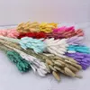 Decorative Flowers 30Pcslot Tail Grass Easter Decorations Real Flower Wedding Home Decor Bunch Colorful Dried Bouquet Pampas