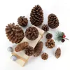 Decoratieve bloemen 1-10 stks Natuurlijke gedroogde planten Pine Cone Acorn kunstmatige bloem voor doe-het-zelf Christmasscrapbooking Garland krans bruiloft