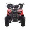 Non Electronics Kids ATV Wholesale 49CC Two Stroke All Terrain Quad motorcycle