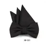 Noeuds Papillon Bandes Cravate Ensemble Classique Solide Noir Coton Jacquard Tissé Hommes Papillon Bowknot BowTie Poche Carré Mouchoir Costume Oranme