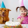 Portacandele Candele di compleanno Numero grande esteso Multicolore 3D Design Cake Topper Decorazione per qualsiasi celebrazione Personalizza