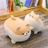 Pluszowe lalki 40/50 cm tłuszcz Shiba inu pies zabawka kawaii puppy nadziewana kreskówka Prezent dla dzieci dzieci 221012