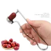 Wholesale Fruit Vegetable Tools Portable Olive and Cherry Pitter Remover Multi-Function Corer Suitable for Home Kitchen Jujube Red Date KD1