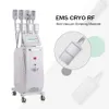 Cryolipolyse debout remodelage du corps amincissant la machine EMS Cryo Cool façonnant l'équipement de beauté de graisse congelée