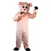 Costume de mascotte cochon professionnel Costume de personnage de dessin animé adulte Costume Photo de groupe grande fête