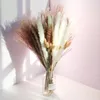Dekoracyjne kwiaty trzcina pampas uszy pszenicy ogon trawy naturalny suszony bukiet dekoracja ślubna siano na imprezę czeski dom