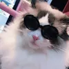 Pequeñas gafas de sol de moda gatos gatos accesorios para mascotas