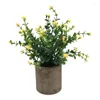 Decorative Flowers Artificial Plant Potted Mini Fake Flower Green Gypsophila Plants Table Top Ornaments