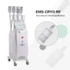 Охлаждение Cryo Lipolysis Freeze Sculpture Sculpture Cryotherapy Machine Cryoskin с EMS RF