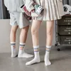 メンズソックスメンズ女性ホワイトスポーツソックスファッションカラフルなストライプカレッジスタイルコットンソックカップ