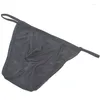 Underpants Brand Brand Men de faixa de baixa cintura Panties Viscose Viscose Ice Silk Translucent Briefs ZJH021