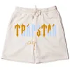 Männer Shorts Hot 2022 Trapstar London Neue Casual Fünf-punkt Hause Strand Lose Jogginghose Baumwolle Gym Breeches G221012