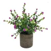 Decorative Flowers Artificial Plant Potted Mini Fake Flower Green Gypsophila Plants Table Top Ornaments