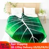 Blankets Soft Leaf Blanket For Bed Cover Philodendron Gloriosum Warm Office Nap Cushion Bedspreads Throw Home Decor Gifts